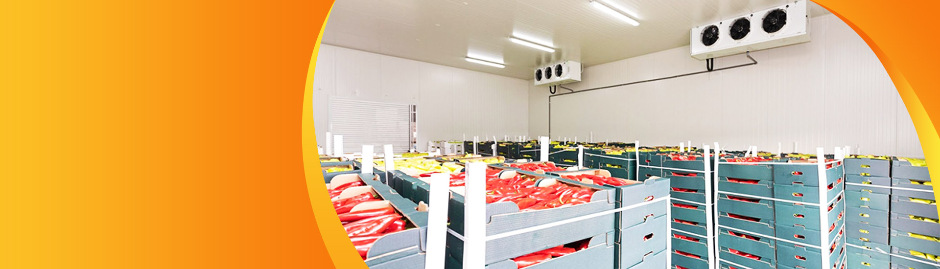 PUF Sheet Manufacturer & Supplier in India