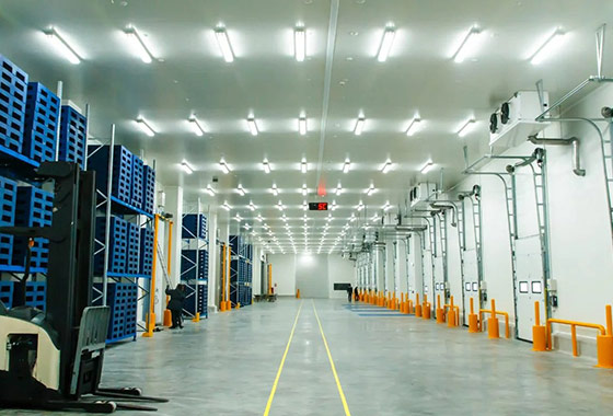 PUF Cold Rooms Manufacturer in Meerut